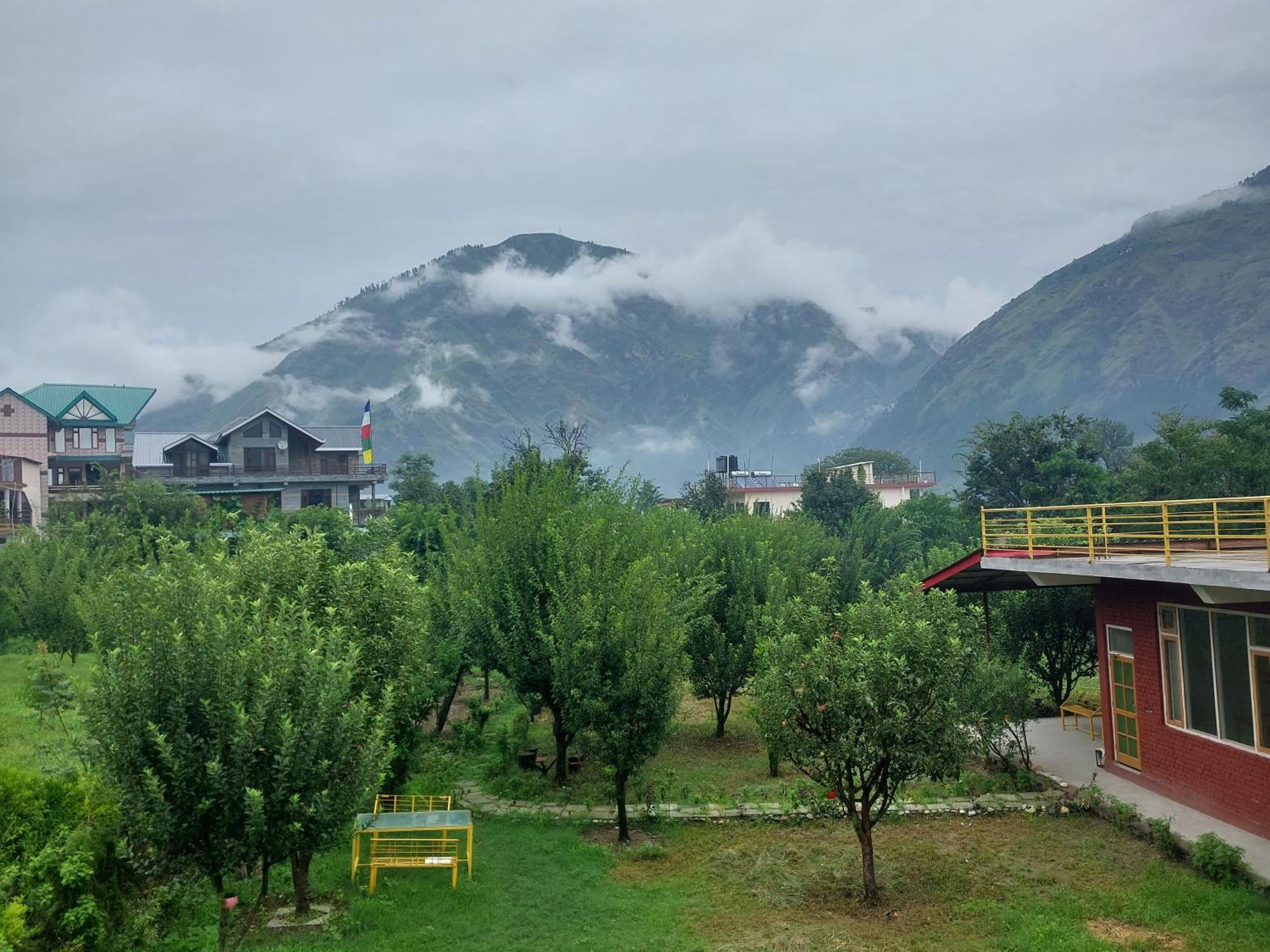 Gazing Moon Homestay Shamshi Exterior photo